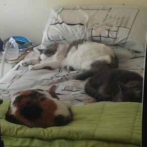 Meet your Posher, Amanda